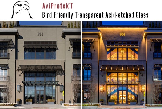 Transparent first surface bird-friendly glass solution